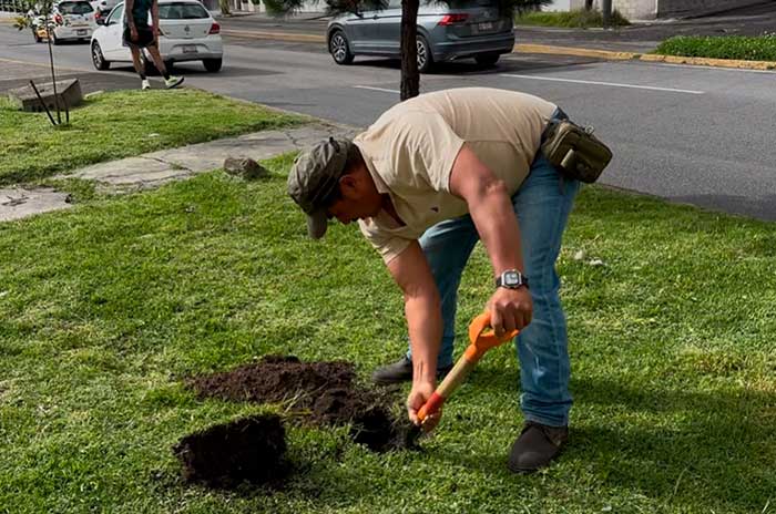 https://www.digitalmex.mx/images/2026/AGOSTO/01/toluca-se-pone-guapa-3.jpg
