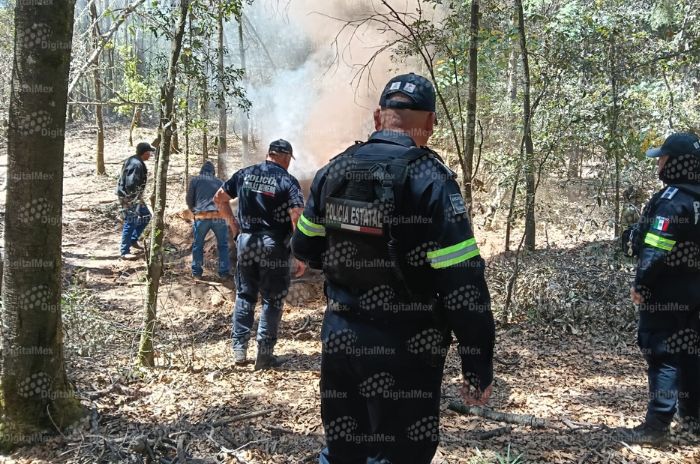 policianicolas 2