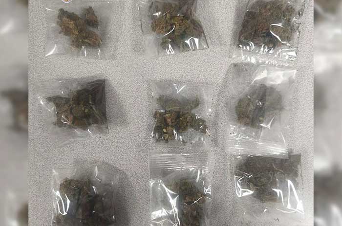https://www.digitalmex.mx/images/2026/AGOSTO/05/1-droga-predio-detenidos-1.jpg