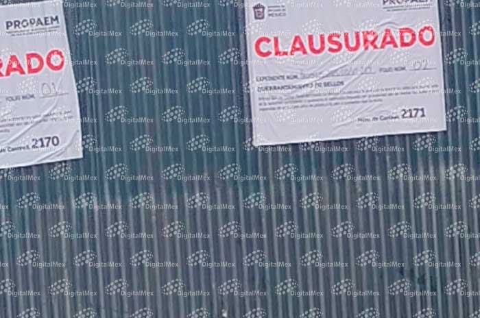 https://www.digitalmex.mx/images/2026/AGOSTO/12/calimaya.jpg
