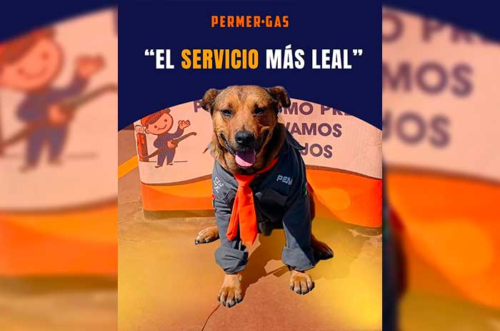 https://www.digitalmex.mx/images/2026/AGOSTO/19/solovino1.jpg