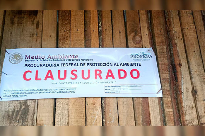asegurado