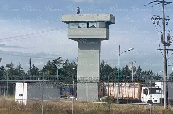 penal2