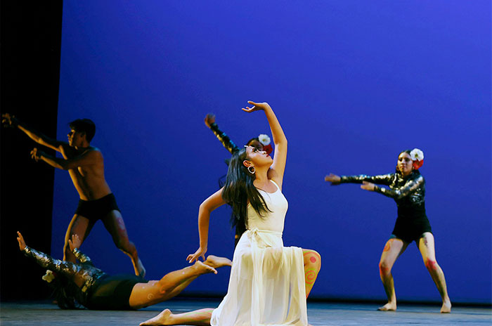 bellas artes2