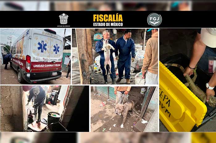 https://www.digitalmex.mx/images/2026/AGOSTO/26/b-detenidos.jpg