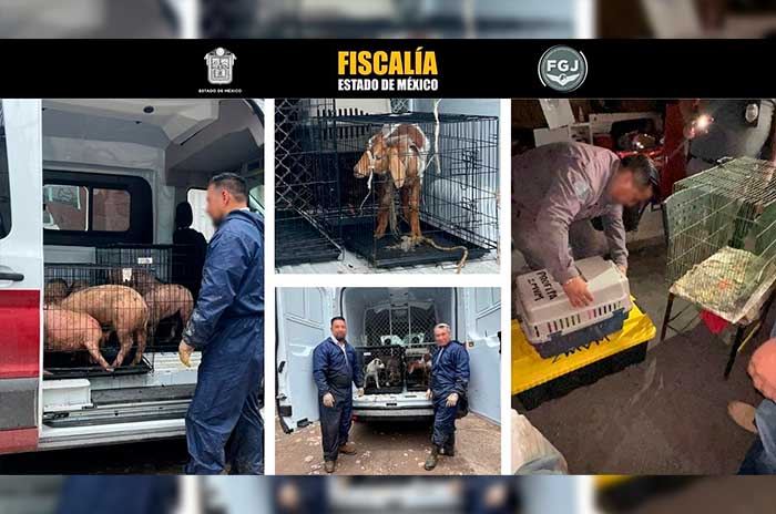 https://www.digitalmex.mx/images/2026/AGOSTO/26/b-detenidos3.jpg