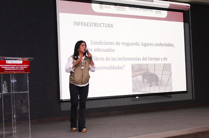 foro4