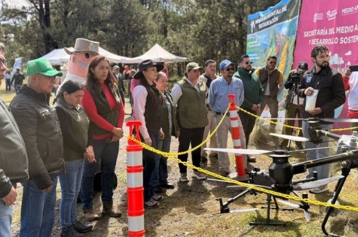 columna
