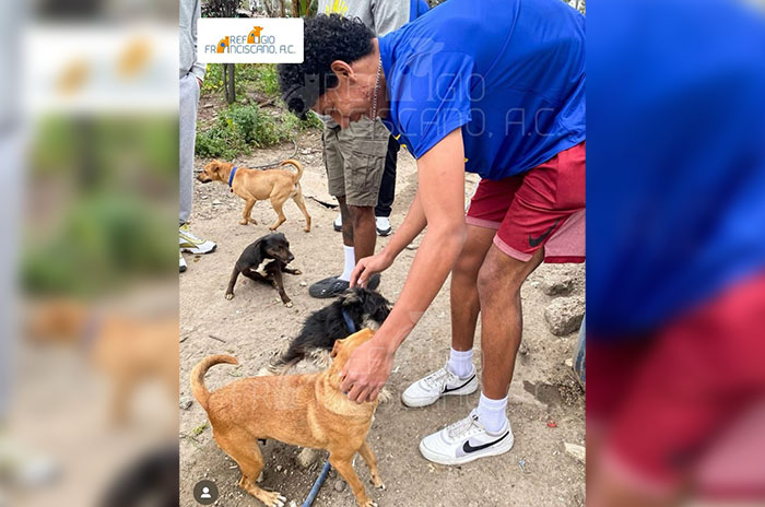 refugio franciscano2