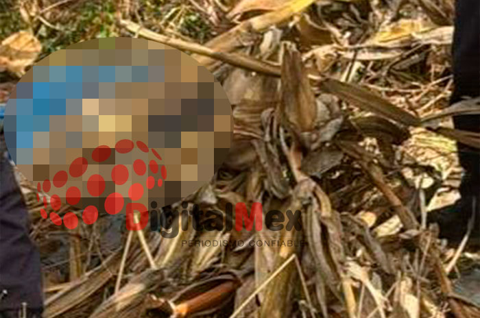 muerto tenango del valle