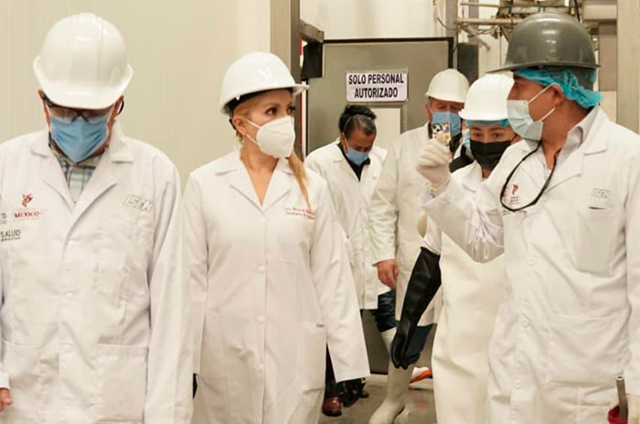 gusano barrenador edomex