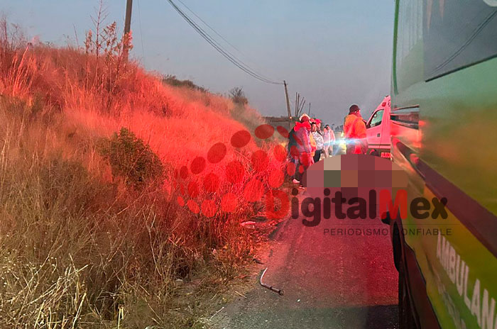 abuelito toluca zitacuaro