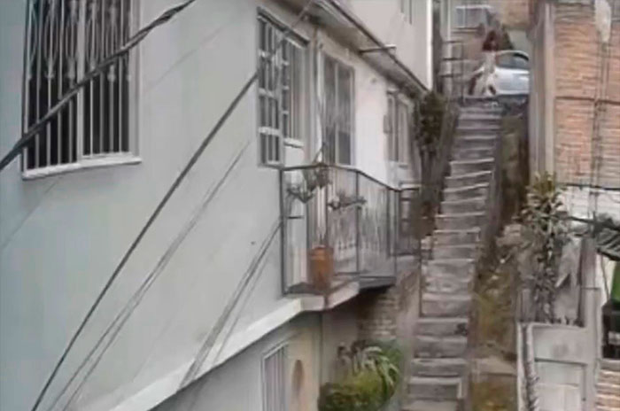 naucalpan andador lobito1