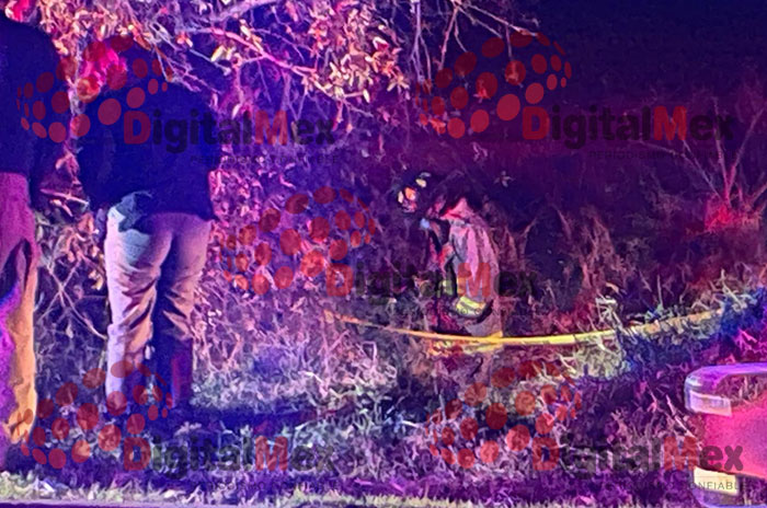 cadaver foresta metepec condado del valle