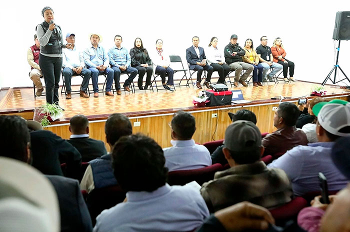 01 gusano barrenador edomex