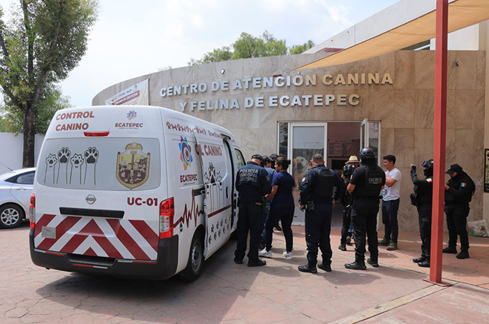 centro atencion canina