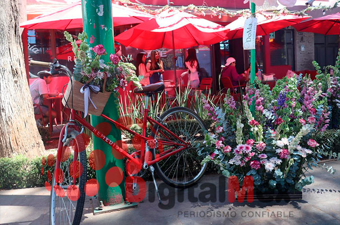 festival primavera toluca1
