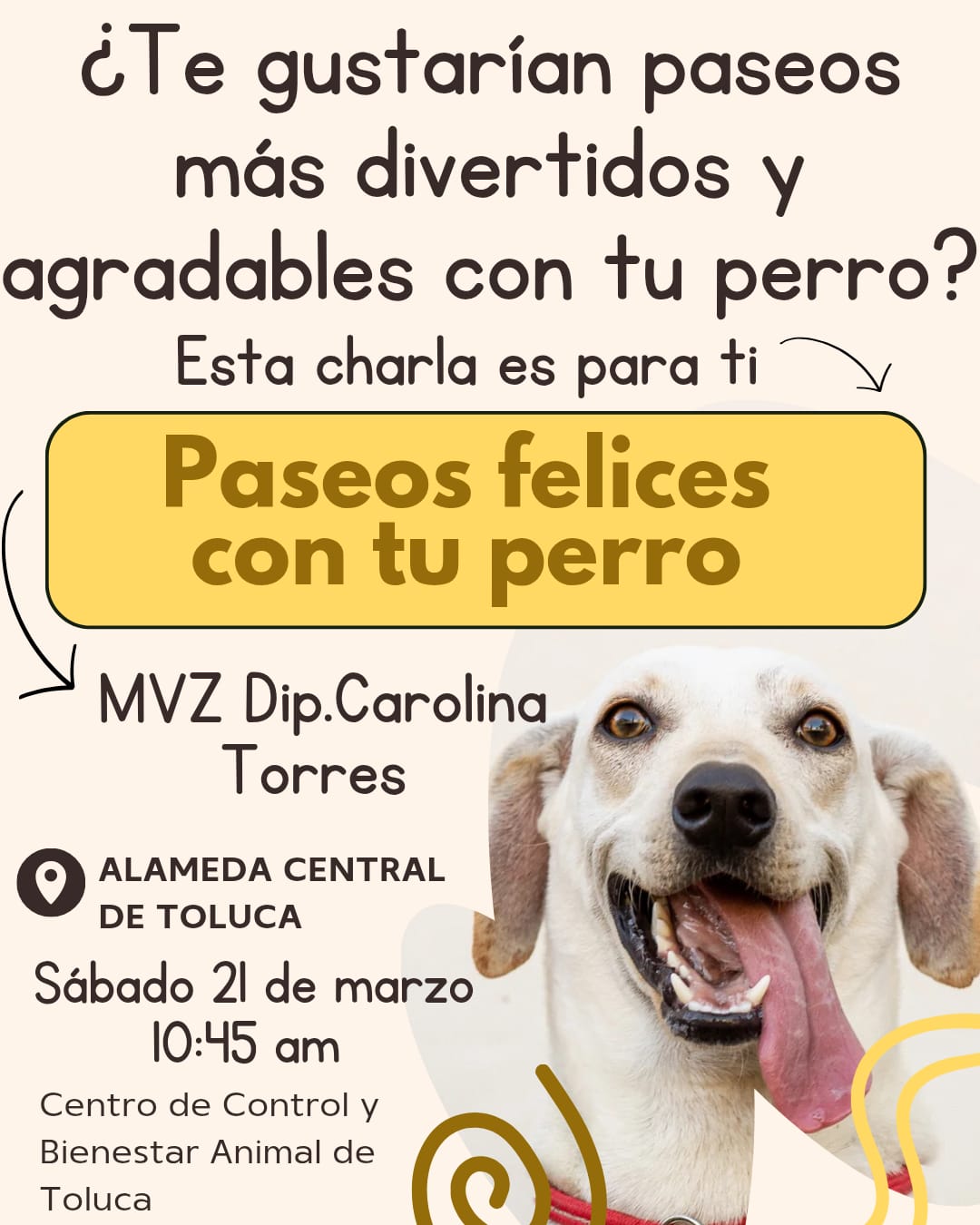 esterilizacion 2