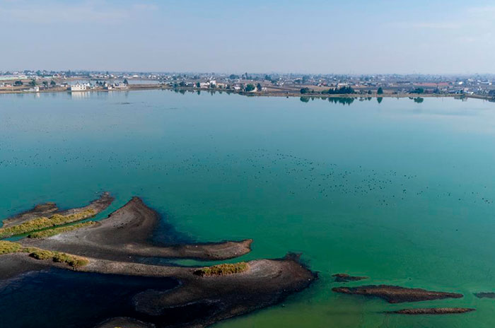 bordo San Jerónimo1