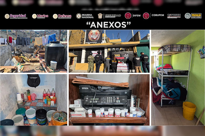 anexos