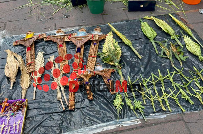 domingo de ramos edomex