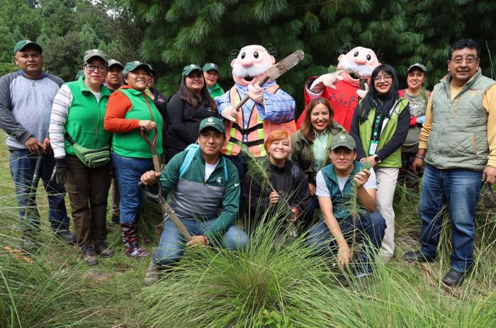 reforestacion 1