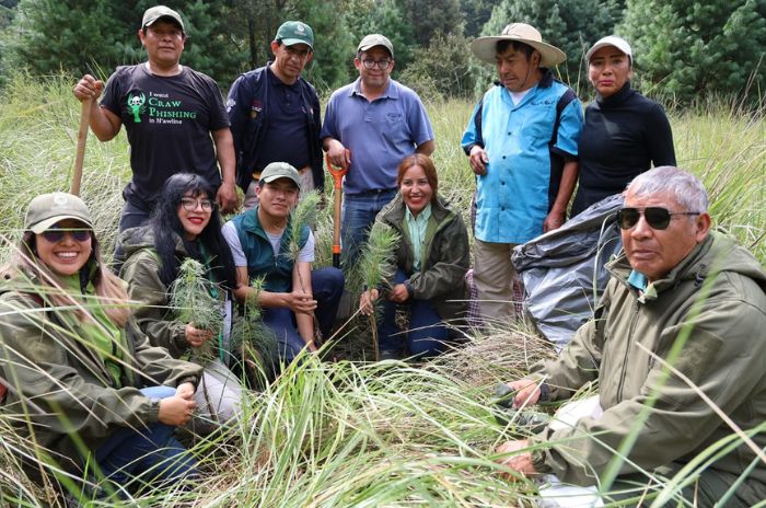 reforestacion 2