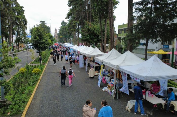 toluca 1