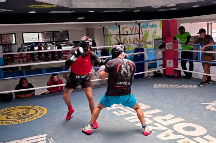boxeador mexiquense 2