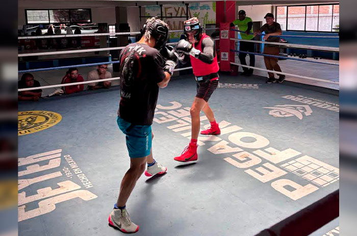 boxeador mexiquense 3