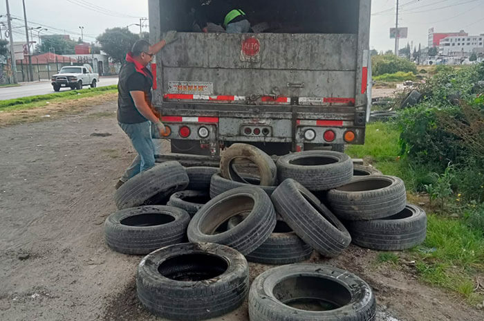 reciclaje toluca 1