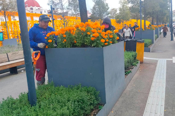 floes centro toluca