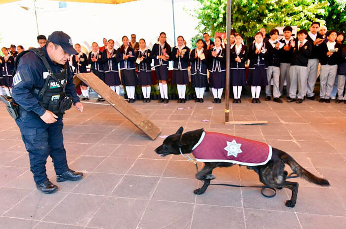 feria tianguistenco 1