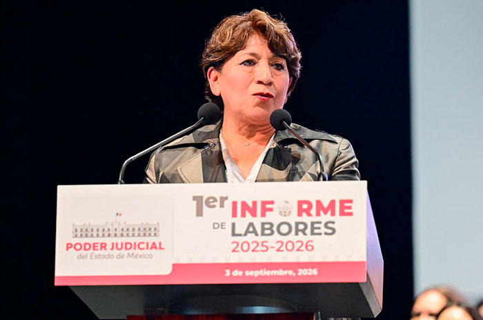 delfina informe