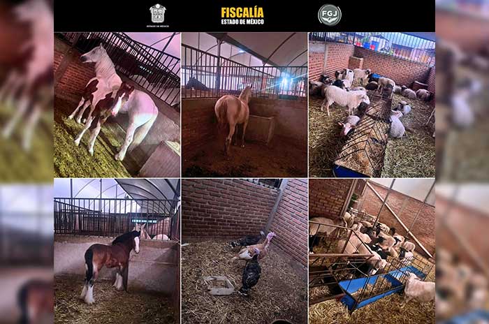 https://www.digitalmex.mx/images/2026/SEPTIEMBRE/09/central-de-abasto-ecatepec9.jpg