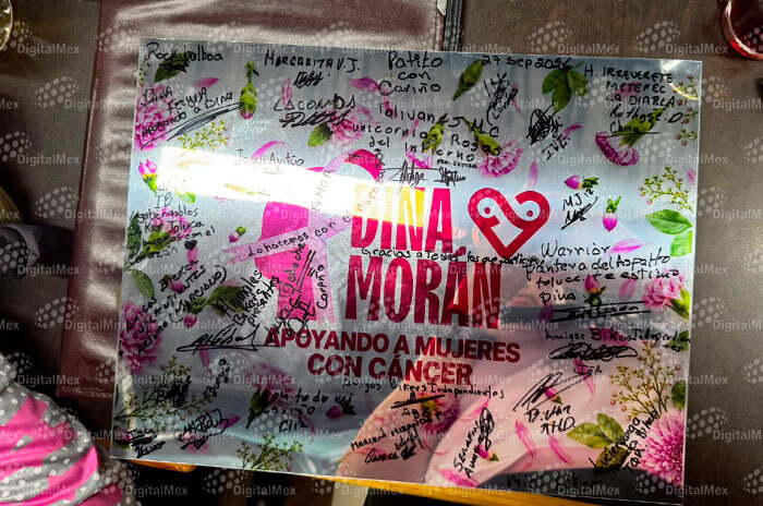 rodada rosa 3 1