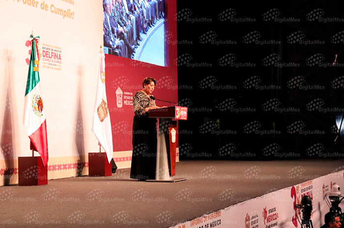 delfina informe2