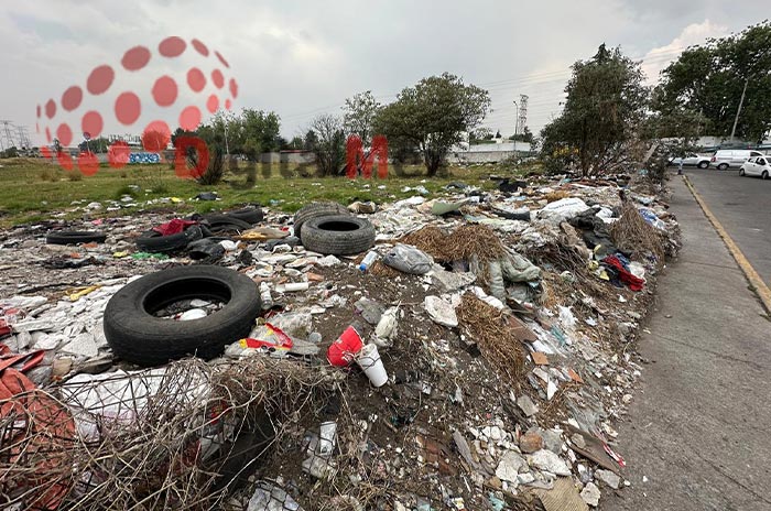 Basura-consume-predio-en-Toluca-plaga-de-ratas-afecta-a-vecinos.jpg