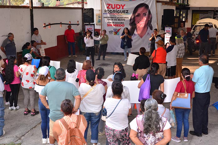 Propone_Zudy_Rodríguez_crear_convenios_de_empleos_temporales_en_ValleDeBravo_3.jpg