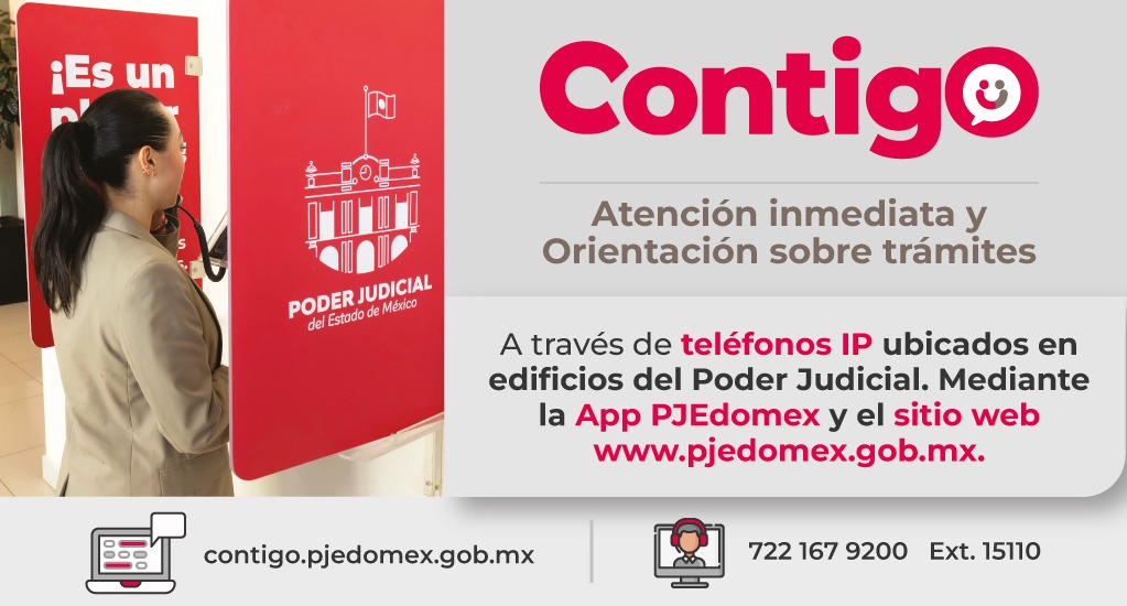 PJEDOMEX