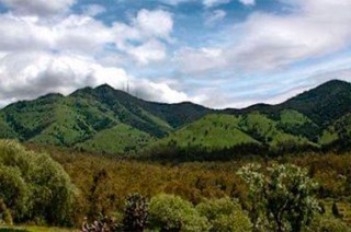 Se priorizará el rescate del Área Natural Protegida, la rehabilitación de presas de gavión y la limpieza de barrancas para prevenir inundaciones.