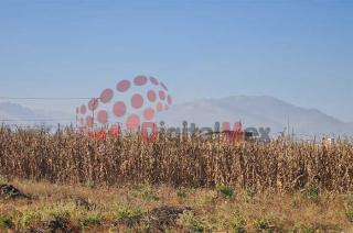 La resolución del juicio hace extensivo el llamado al superior jerárquico de la autoridad responsable