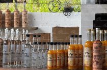 Presentación de la Ruta del Mezcal y la Flor en el sur del Estado de México rumbo al Mundial 2026.