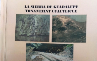 Pillaje en la Sierra de Guadalupe merma hasta 20 por ciento la riqueza de la zona