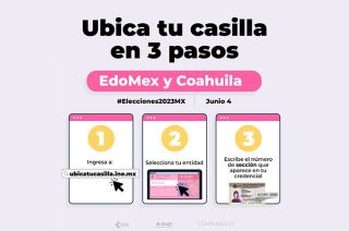 Los ciudadanos solo tienen que seleccionar su entidad federativa e introducir el número de la sección electoral a la que pertenecen