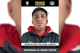 Además de la pena de prisión, deberá pagar una reparación del daño superior a 247 millones de pesos.