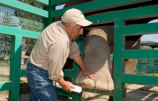 Empleado de Zacango, el mejor guarda animales del país