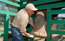 Empleado de Zacango, el mejor guarda animales del país