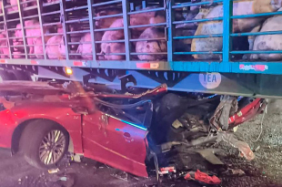 Autoridades confirmaron personas fallecidas en el lugar y mantienen abiertas las investigaciones para determinar cómo ocurrió el accidente y deslindar responsabilidades.