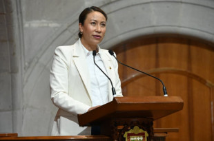 Leticia Mejía durante la presentación de su iniciativa en el Congreso